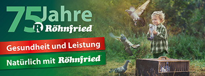 Info about Röhnfried